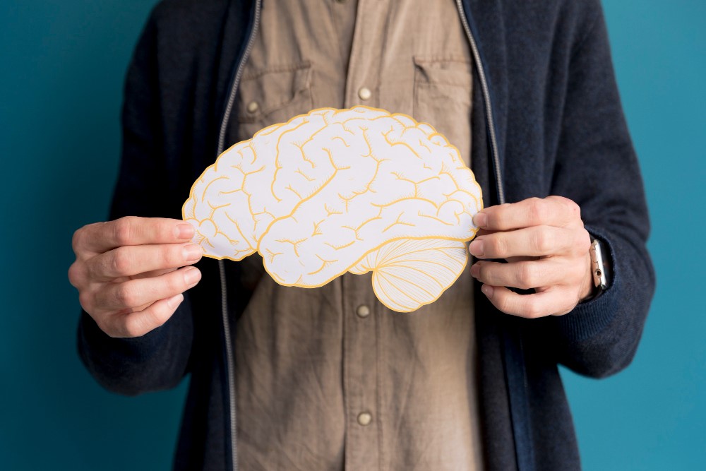 Quanto Tempo a Cocaina Faz Efeito no Cerebro